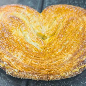 Le palmier