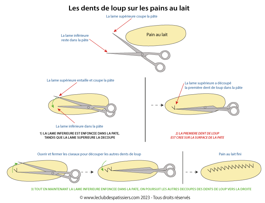 pain au lait - réalisation des dents de loup - leclubdespatissiers